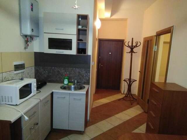 Апартаменты Біля парку Львов-12